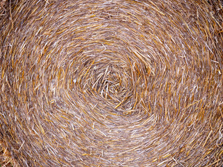 Close-up texture of a round straw bale showing detailed spiral pattern of dried stalks.