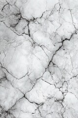 white marble texture