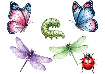 Vibrant watercolor illustrations of butterflies dragonflies caterpillar and ladybug on a white background