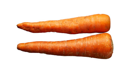 two fresh carrot isolated on white