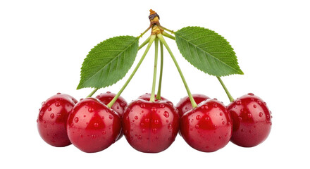 Obraz premium Group Of Red Cherries With Green Leaves And Water Drops On Transparent Background
