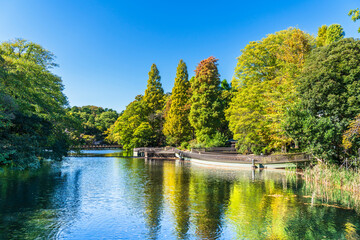 井の頭公園の自然風景【東京都・武蔵野市－三鷹市】