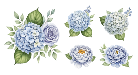 Watercolor floral set featuring delicate hydrangea and rose blooms in pastel hues, perfect for wedding invitations and botanical designs for print and digital use.