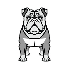 french bulldog puppy