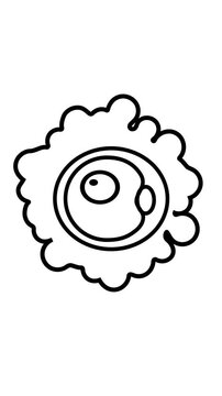 Vertical video of sperm fertilization animation on clean white backdrop. Illustration of sperm cells fertilizing egg for fertility vertical animation.