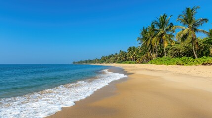 Serene Tropical Beach with Clear Water, Golden Sand, and Lush Green Palm Trees Under Bright Blue Sky