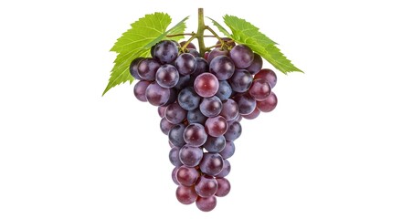 Fototapeta premium Fresh Red Grapes Bunch Isolated on White.