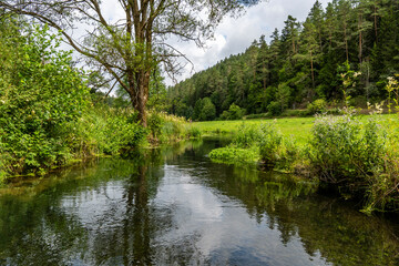 Der Fluß Aufseß im Aufseßtal in der Fränkischen Schweiz 1