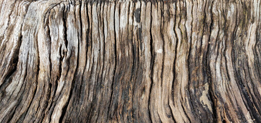 Close-up of old weathered wood texture with natural cracks and grain, showing detailed organic patterns.