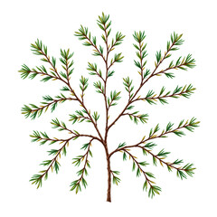 Detailed Illustration of a Green Branch with Leaves Isolated on White