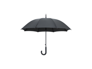 A black umbrella showcasing elegance and functionality

