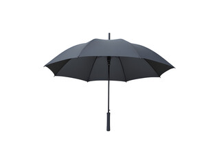 A black umbrella showcasing elegance and functionality
