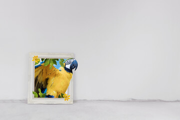 Creativity, Colors, and Decorative concepts. Picture frame with colorful creature, in living space