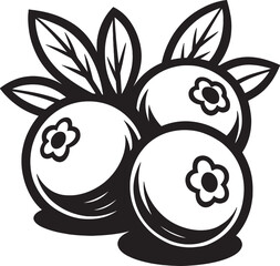 Black and white illustration of blueberries with leaves.