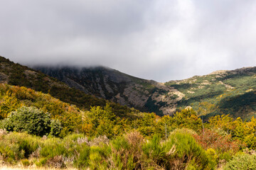 Mountain landscape under cloudy sky showcasing vibrant autumn foliage and natural vegetation