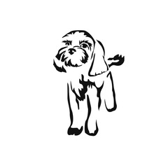 Vector drawing of a dog. Black and white gestalt design of a funny pet. Little doggy. Cute animal illustration.