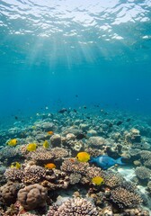 Obraz premium Colorful fish on coral reef underwater