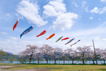 Carp streamers swimming in the blue sky