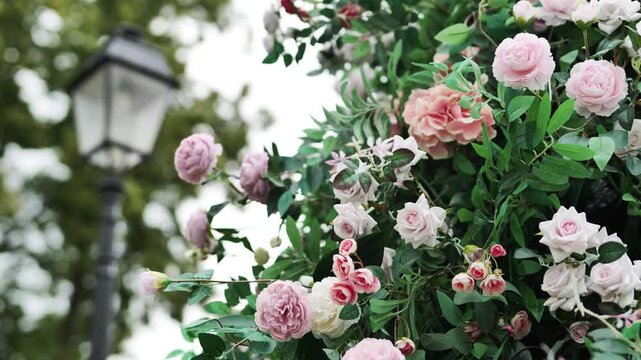 Delicate pink and white roses and hydrangeas decorating a street lamp