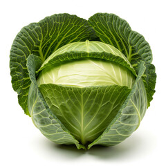 Fototapeta premium Ultra-realistic single green cabbage head fully within frame isolated on white background for culinary and packaging stock photography