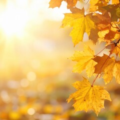Fototapeta premium Autumn leaves bathed in the warm glow of sunlight creating a serene atmosphere. Capturing the essence of the season, showcasing the beauty of nature's transformation.