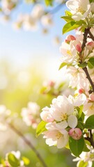 Obraz premium Blooming spring flowers against a sunlit background, with delicate petals. The scene evokes feelings of renewal, beauty, and the start of a new season.