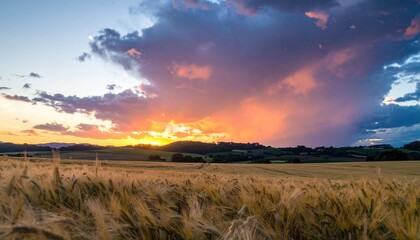 Sunset over golden wheat field with dramatic clouds, peaceful countryside landscape