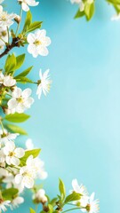 Obraz premium A beautiful display of delicate white flowers in full bloom against a clear blue background. A celebration of spring