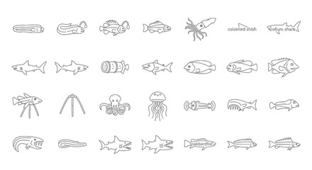 Collection of handdrawn line art illustrations of various marine animals and sea creatures, isolated on a, showcasing diversity of underwater life in a simple, clean style