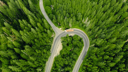 Logging truck moving on winding road through green forest © Doralin