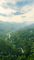 Naklejka premium Winding road cutting through lush green valley in mountainous landscape
