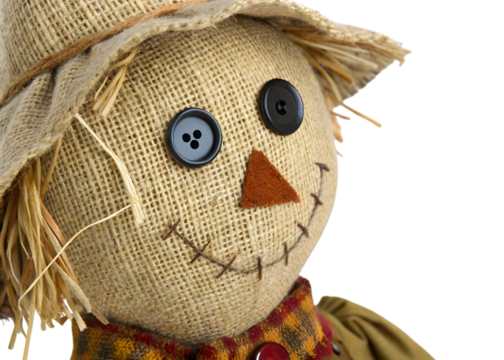 A close up of a scarecrow with button eyes and a burlap hat on a transparent background detail shot