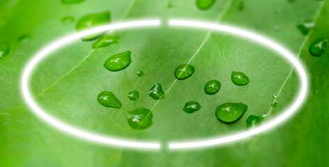 Close-up vibrant green leaf, glistening dew drops. Leaf's intricate veins visible. glowing white...
