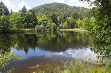 L'étang du Petit-Haut est un petit lac situé dans les contreforts du Ballon d'Alsace, dans le massif des Vosges, dans le département du Territoire de Belfort. Situé sur la commune de Lepuix. 