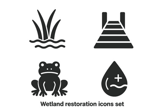 Wetland restoration solid glyph icon set. Ecology, conservation, environment symbols. Marsh grass, boardwalk, frog wildlife, water quality vector. Nature swamp ecosystem signs.