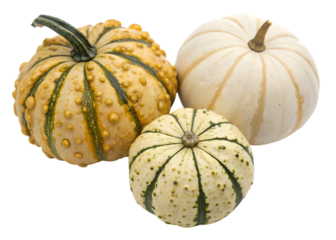A still life of three decorative gourds in varying colors and textures against a transparent background