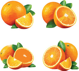 Four Oranges with Leaves Whole and Halved Sections