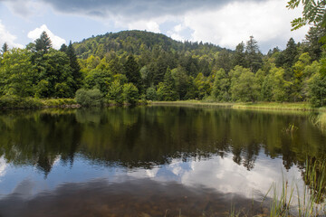 L'étang du Petit-Haut est un petit lac situé dans les contreforts du Ballon d'Alsace, dans le massif des Vosges, dans le département du Territoire de Belfort. Situé sur la commune de Lepuix. 