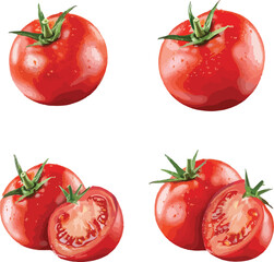 Four Red Tomatoes Watercolor Style Two Halved illustration