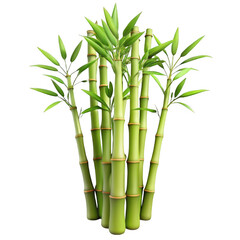Obraz premium 3d lush bamboo stalks isolated on transparent background