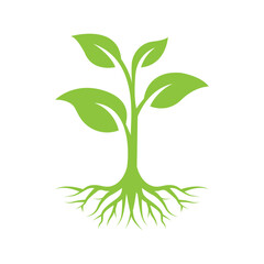 Green Plant with Roots Vector Illustration – Nature Growth and Ecology Concept Design