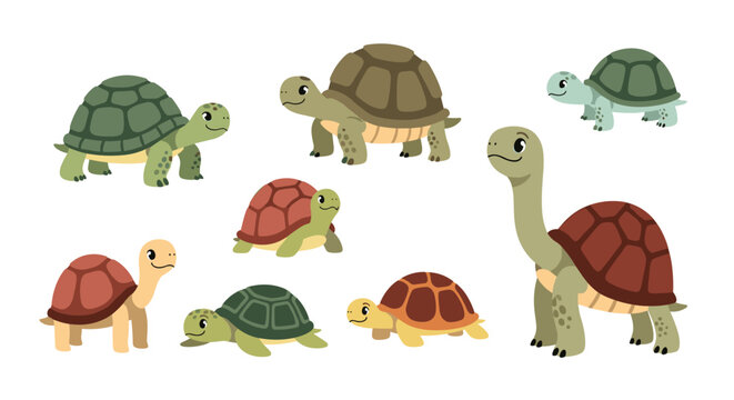A collection of adorable and diverse cartoon tortoises and turtles exhibiting various sizes and colors