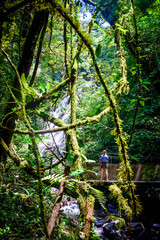 Girl on a suspension bridge in the jungle at El Valle de Antón