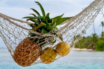 Tropical fruit hanging in a net with a tropical background