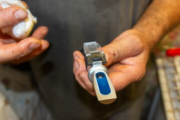 Fototapeta premium beekeeping honey production from bees in hives in the countryside italy