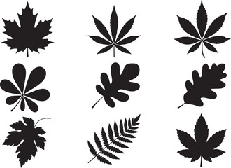 Obraz premium A collection of various detailed black silhouettes of different tree leaves, including maple, oak, and fern
