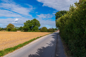 road in the countryside