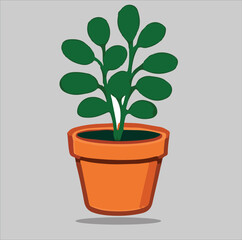 green plant in a pot