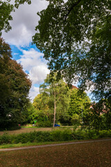 road in the park