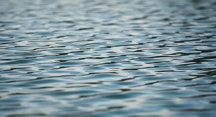 Water surface with rippled reflections